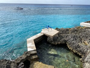 Sea Wall in Back Yard