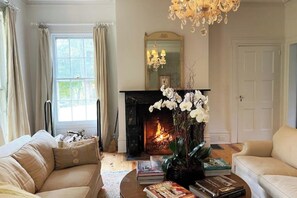 cozy comfortable furniture in living room