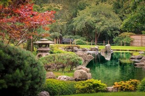 Holland Park Japanese Gardens Six minute walk from Flat
