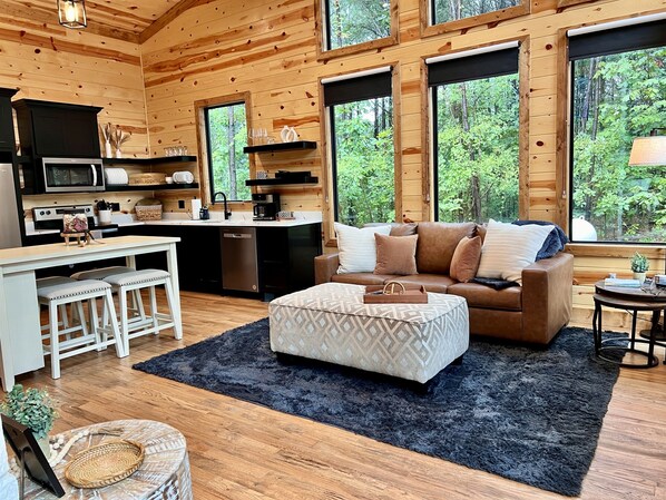 Plush sofa and oversized ottaman for those movie marathons.