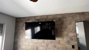 Television