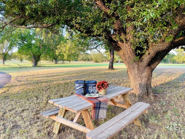 Picnic area in front of house