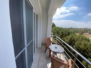 The sliding door opening to the living room balcony is equipped w/ mosquito nets