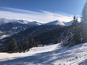 Himmel, Wolke, Berg, Schnee, Pflanze, Steigung, Baum, Hochland, Natürliche Landschaft, Lärche