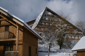 Holiday Home Exterior [winter]