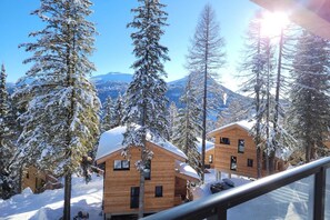 Aussicht vom Ferienhaus [Winter]