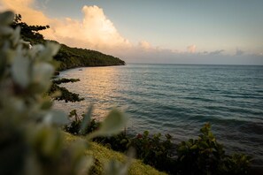Rum