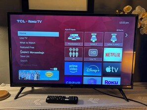 Television