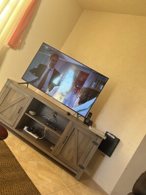 Television