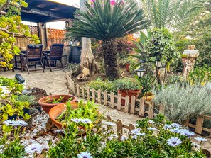 Jardin 3