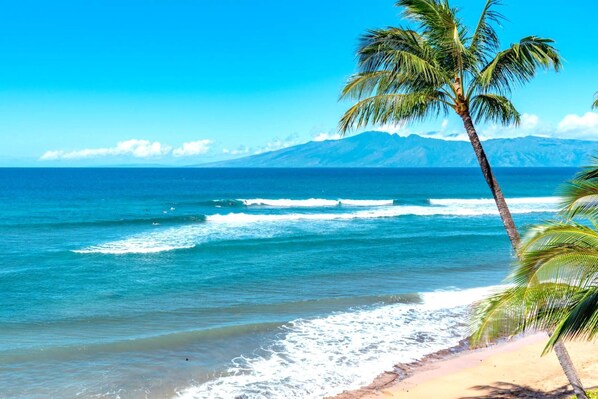 Let the breeze guide your morning and the waves soothe your night?this beachfront gem is pure island magic MKV-C255