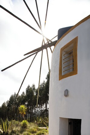 Ulkopuoli