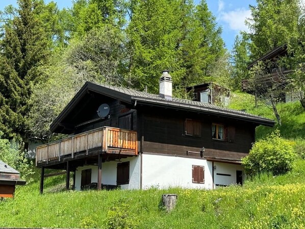 Picture 1