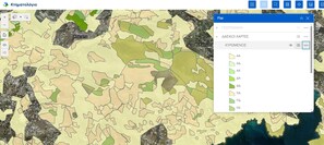 Property map
