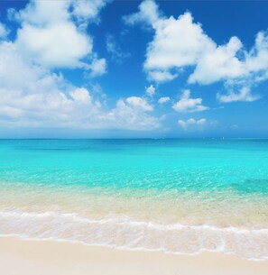 Private beach, located 4 min drive from the mansion
