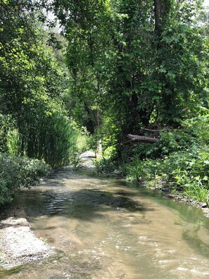 Sandia Creek
