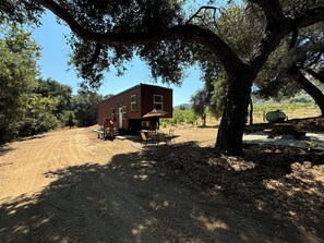 A nice shaded area shaded by a majestic Oak Tree
