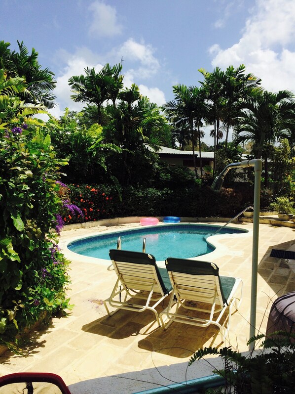 Vida Mejor Poolside----Tropical paradise abuzz with humming brids and serenity