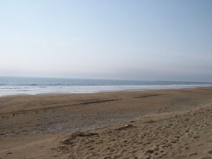 Ocean View from the Deck
