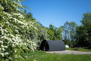Boendeområde