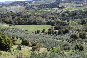 Stunning views of grape vinyards, olive, avocado, and tangerine groves
