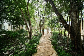 The Community is Surrounded by Lush Jungle