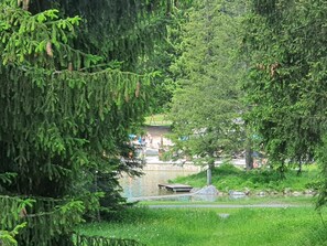 Plante, Paysage Naturel, Végétation, Cours D'Eau, Arbre, Ombre, Banque, Herbe, Suppression Des Plantes Ligneuses, Terrestre Des Plantes