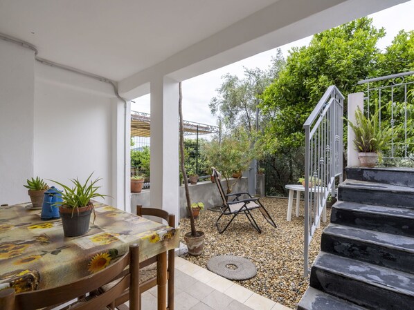 Plant, Property, Table, Wood, Flowerpot, Houseplant, Architecture, Chair, Shade, Interior Design