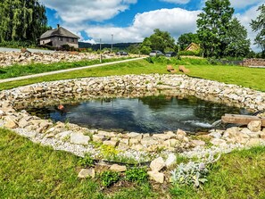 Cloud, Water, Sky, Plant, Water Resources, Natural Landscape, Botany, Tree, Vegetation, Body Of Water