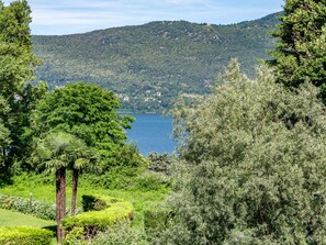 Plant, Sky, Cloud, Plant Community, Natural Landscape, Mountain, Land Lot, Tree, Lake, Grass