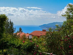 Wolke, Blume, Himmel, Pflanze, Pflanzengemeinschaft, Azurblau, Gebäude, Natürliche Landschaft, Baum, Hütte