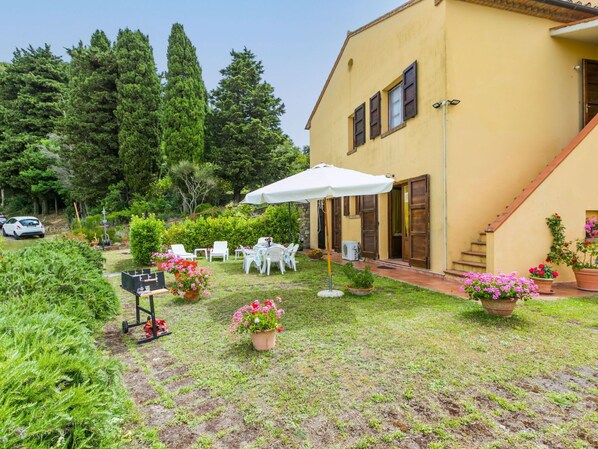 Plant, Flower, Property, Building, Window, Sky, Tree, House, Land Lot, Flowerpot