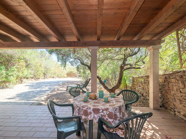 Plante, Propriété, Table, Meubles, Bois, Arbre, Design Intérieur, Chaise, Ombre, Mobilier De Jardin