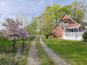 Tree, Branch, Shrub, House, Garden, Cottage, Home, Spring, Rural Area