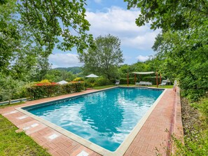 Water, Plant, Cloud, Sky, Swimming Pool, Natural Landscape, Tree, Botany, Body Of Water, Grass