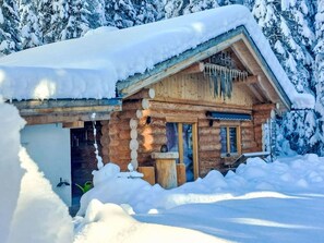 Neige, Bâtiment, Fenêtre, Propriété, Maison, Branche, Bois, Arbre, Porte, Pente