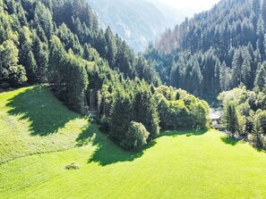 Plant, Mountain, Nature, Natural Landscape, Larch, Tree, Slope, Highland, Vegetation, Evergreen