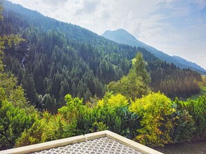 Plant, Furniture, Wood, Porch, Shade, Road Surface, Outdoor Furniture, Building, Chair, Interior Design