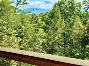 Incredible Smoky Mountain Views!!!