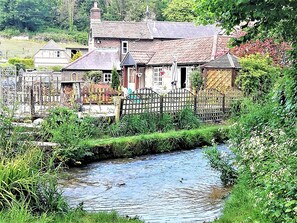 looking over the Piddle