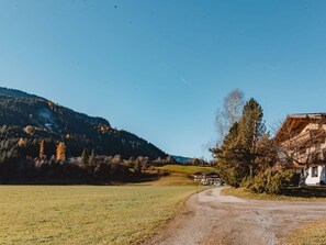 Ciel, Plante, Paysage Naturel, Surface De La Route, Montagne, Montagnes, Asphalte, Arbre, Herbe, Paysage