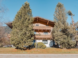 Plante, Ciel, BĂątiment, FenĂȘtre, Arbre, Paysage Naturel, Brindille, Façade, Teintes Et Ombres, Bois