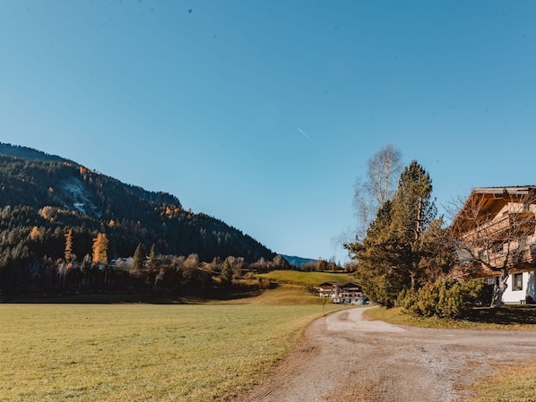 Ciel, Plante, Paysage Naturel, Surface De La Route, Montagne, Montagnes, Asphalte, Arbre, Herbe, Paysage