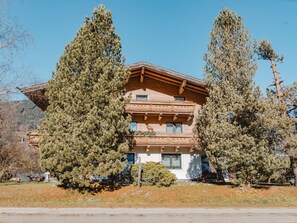 Plante, Ciel, Bâtiment, Fenêtre, Arbre, Paysage Naturel, Brindille, Façade, Teintes Et Ombres, Bois