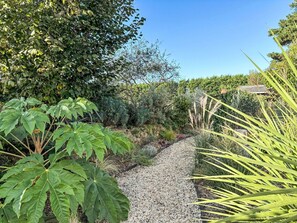 Plante, Ciel, Communauté Des Plantes, Botanique, Fleur, Feuille, Arbre, Terrestre Des Plantes, Végétation, Biome