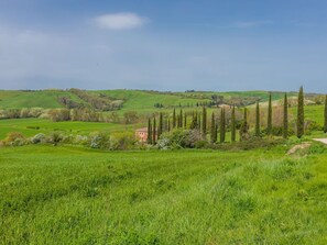 Cielo, Nube, Pianta, Comunita 'Impianto, Paesaggio Naturale, Albero, Agricoltura, Plain, Pascolo, Paesaggio