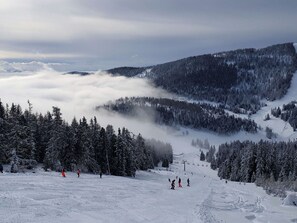 Sky, Cloud, Mountain, Snow, Slope, Tree, Atmospheric Phenomenon, Terrain, Freezing, Glacial Landform