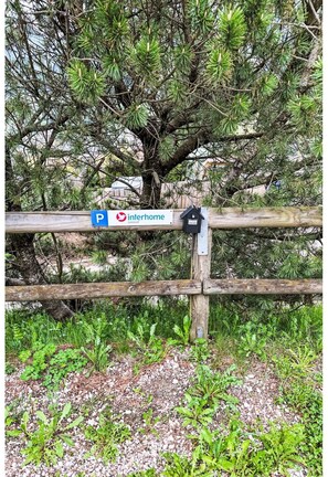Pflanze, Blatt, Holz, Baum, Zaun, Gras, Natürliche Landschaft, Ground, Home Fechten