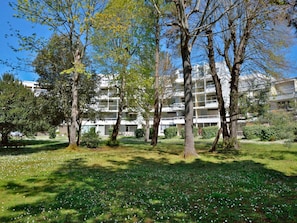 Sky, Plant, Building, Tree, Natural Environment, Botany, Natural Landscape, Branch, Land Lot, Trunk