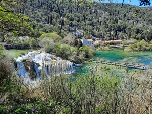 Plante, L'Eau, Communauté Des Plantes, Paysage Naturel, Arbre, Cours D'Eau, Mélèze, Lac, Banque